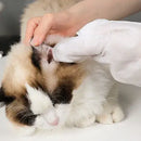 Luva Umedecida para Pets - Banho a Seco e Pele Hidratada