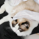 Luva Umedecida para Pets - Banho a Seco e Pele Hidratada